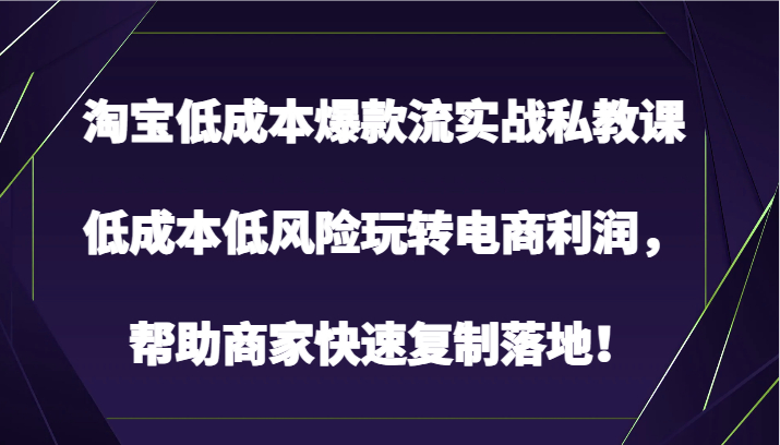 淘宝低成本爆款流实战私教课，低成本低风险玩转电商利润，帮助商家快速复制落地！_抖汇吧