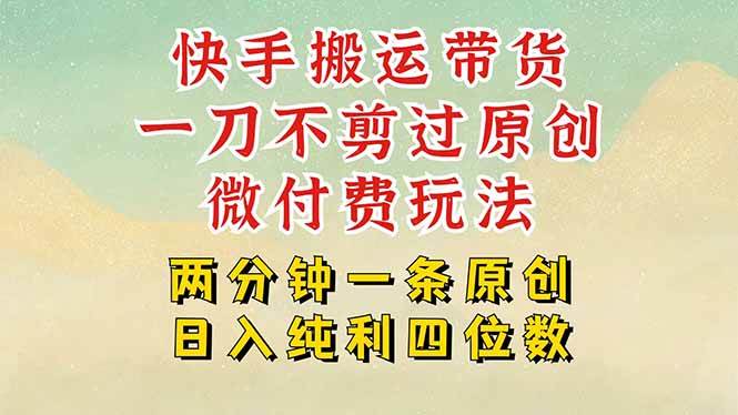 （15577期）快手黑科技搬运带货，一刀不剪过原创，微付费投流玩法，轻松日入四位数…_抖汇吧