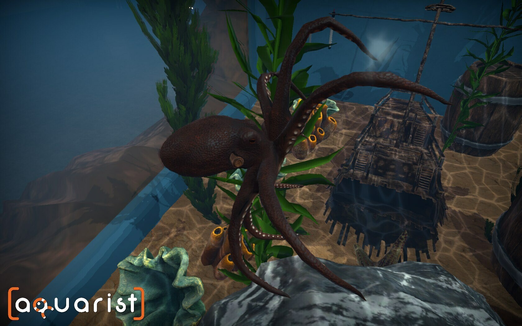 Aquarist – 建造水族馆，养鱼，发展你的事业！_抖汇吧