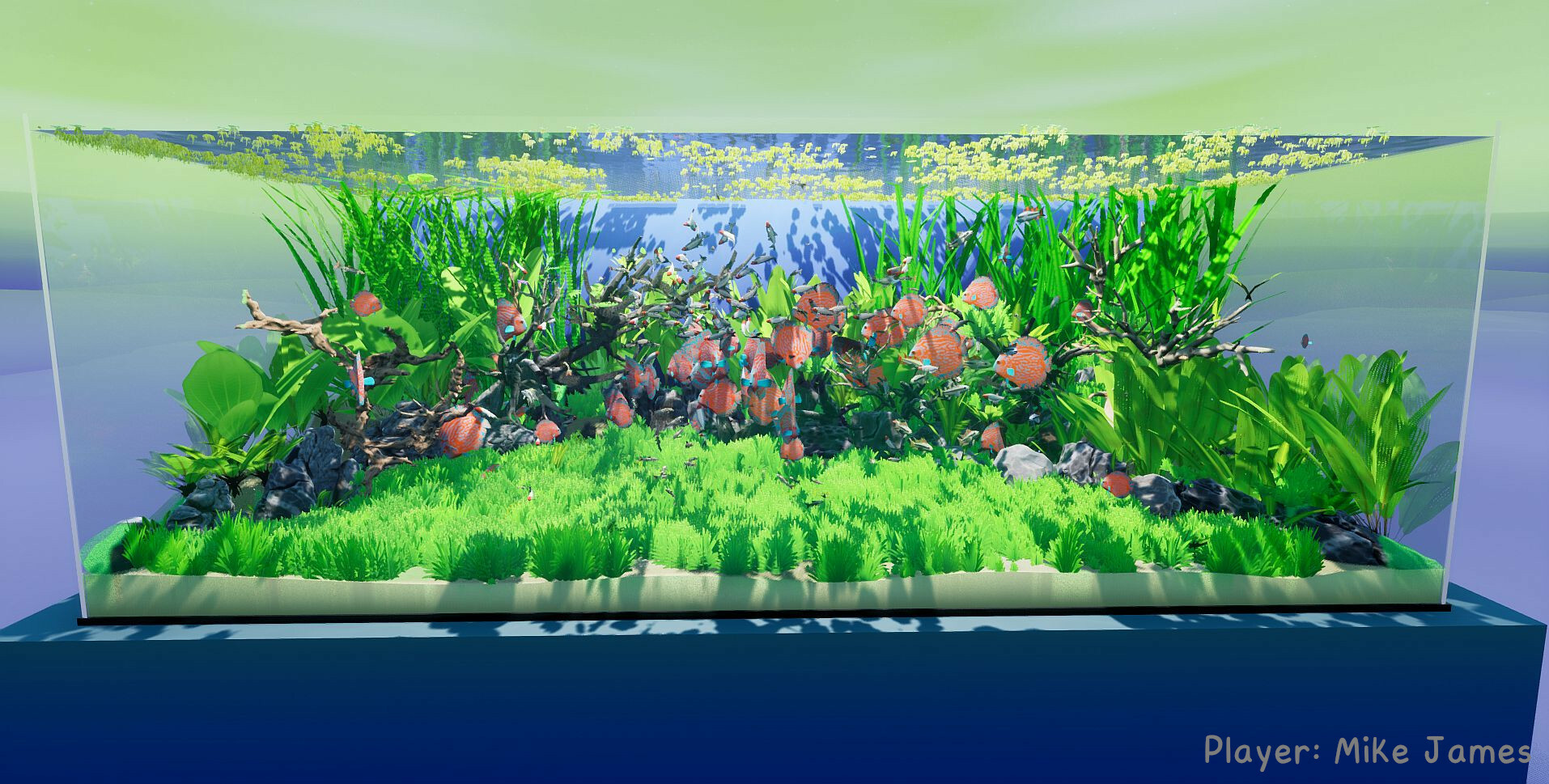 养鱼模拟器/Fish Game_抖汇吧