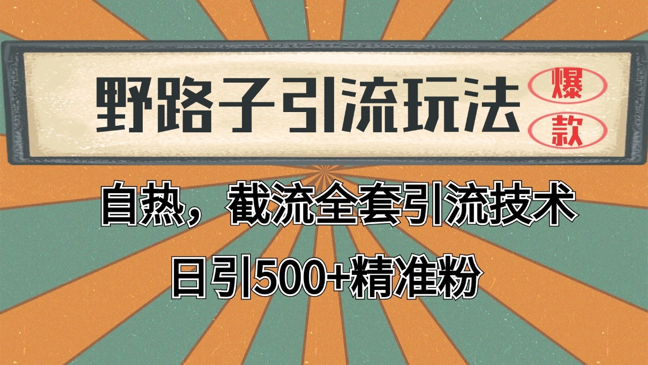 2024首发野路子引流玩法截流自热全平台打法，全自动引流【日引2000+精准客户】_抖汇吧