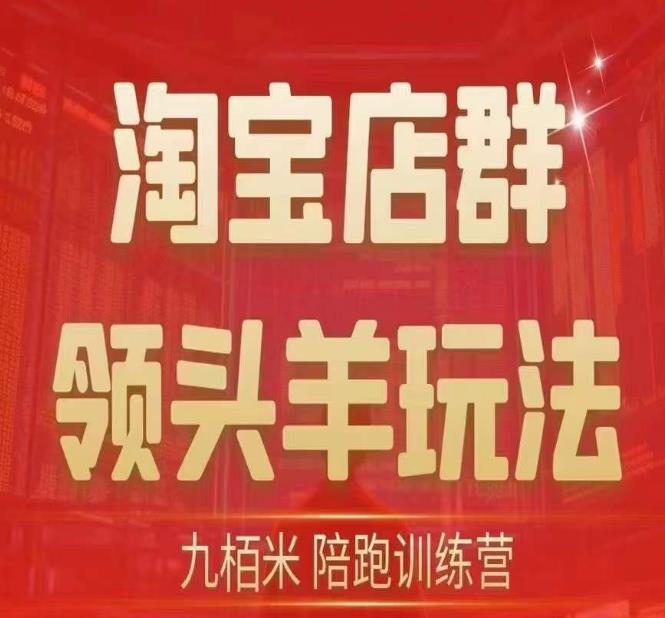 九栢米-淘宝店群领头羊玩法，教你整个淘宝店群领头羊玩法以及精细化/终极蓝海/尾销等内容_抖汇吧