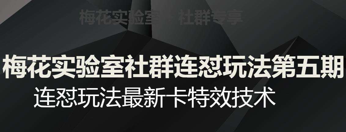 梅花实验室社群连怼玩法第五期，视频号连怼玩法最新卡特效技术_抖汇吧