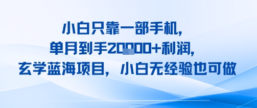 小白只靠一部手机，单月到手2W+利润，玄学蓝海项目，小白无经验也可做_抖汇吧