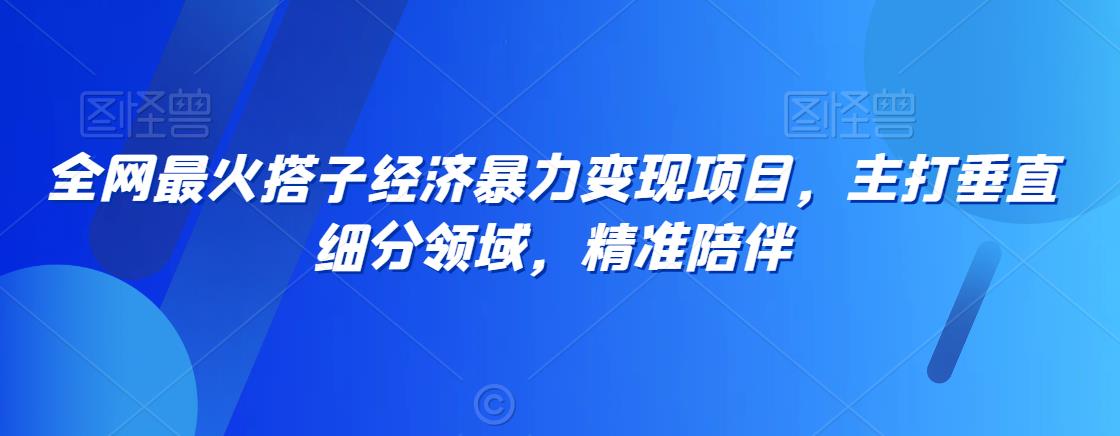 全网最火搭子经济暴力变现项目，主打垂直细分领域，精准陪伴【揭秘】_抖汇吧