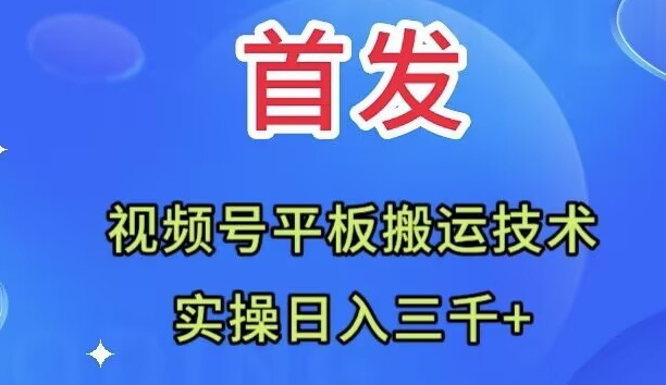 全网首发：视频号平板搬运技术，实操日入3000＋_抖汇吧