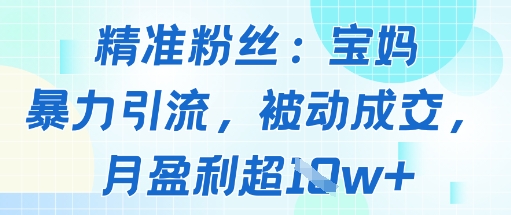 精准粉丝：宝妈暴力引流方法，被动成交，月盈利超1w+_抖汇吧