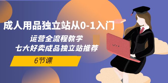 成人用品独立网站从0-1入门：运营全流程教学，七大好卖成品独立站推荐-6节课_抖汇吧