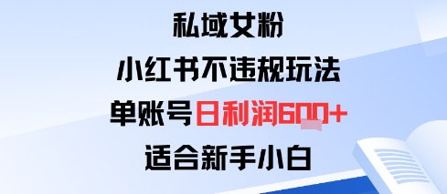 私域女粉：小红书平台不违规玩法单账号日利润6张+适合新手小白_抖汇吧