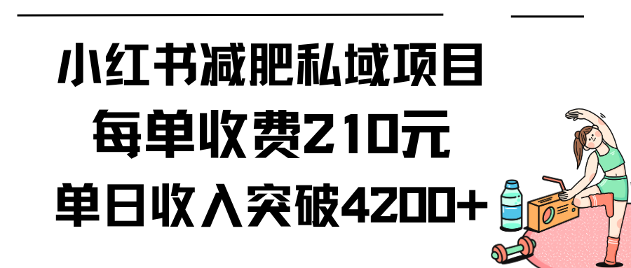 小红书减肥私域项目每单收费210元单日成交20单，最高日入4200+_抖汇吧