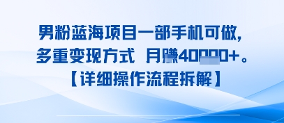 8月新男粉蓝海项目一部手机可做，多重变现方式 月入4W+【详细操作流程拆解】_抖汇吧