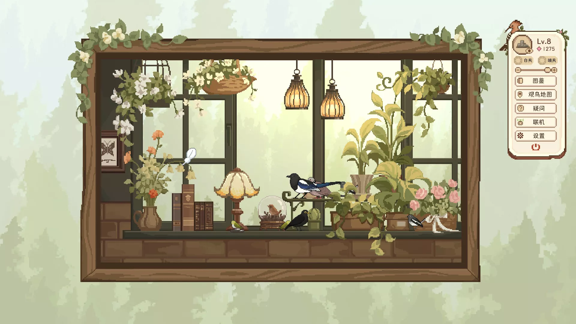观鸟笔记/Birdwatching Notebook