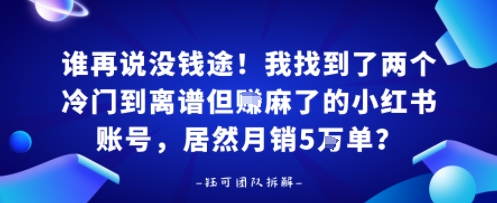 谁再说没钱途！我找到了两个冷门到离谱但賺麻了的小红书账号，居然月销5W单？_抖汇吧