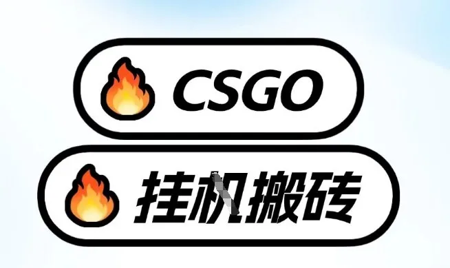 真全网独家CSGO挂G，最新玩法,单日捡漏1K+，不用电脑，不用打游戏【揭秘】_抖汇吧