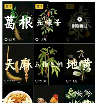 抖音中草药赛道，用AI做中草药故事视频，45条作品涨粉13W，橱窗带货猛猛出单_抖汇吧