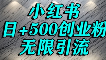 小红书无限引流创业粉，单人操作日引500+精准创业粉_抖汇吧