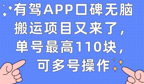 有驾APP口碑无脑搬运项目又来了，单号最高110块，可多号操作_抖汇吧