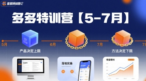 多多特训营【5-7月】产品决定上限，方法决定下限，各种玩法技巧落地实操_抖汇吧