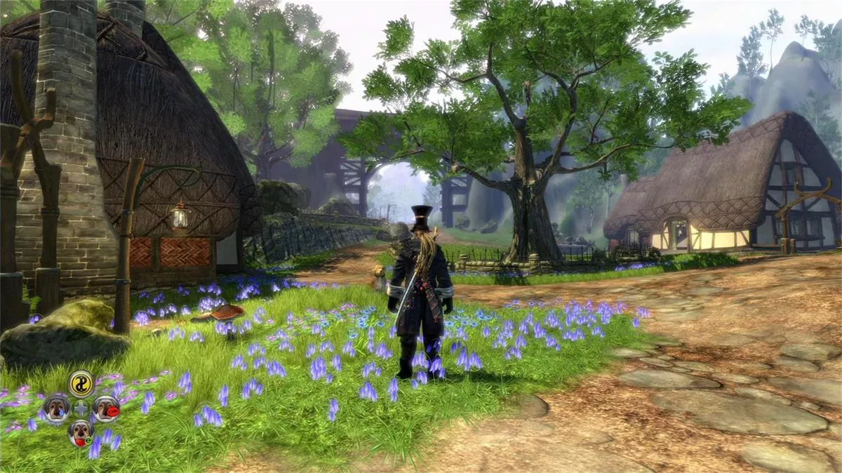 神鬼寓言2：年度版/Fable II: Game of the Year Edition xbox移植新游发布_抖汇吧
