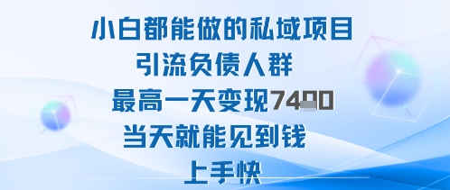 2025年小白都能做的私域项目引流负债人群最高一天变现1k+高变现难度低当天就能见到钱上手快_抖汇吧