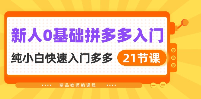 新人拼多多运营实操：0基础小白快速入门指南（21节课）_抖汇吧