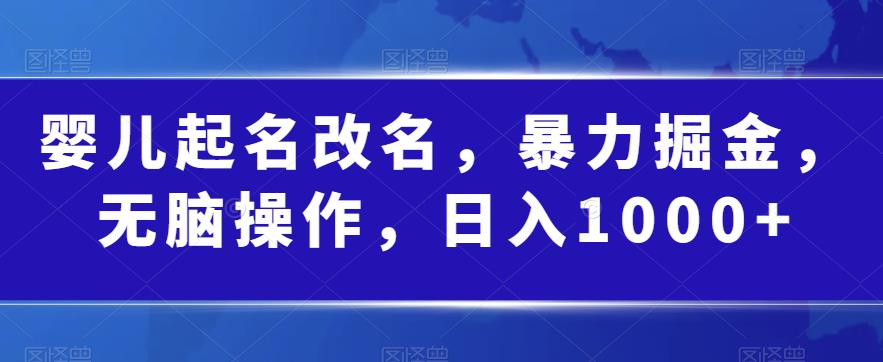 婴儿起名改名，暴力掘金，无脑操作，日入1000+【揭秘】_抖汇吧