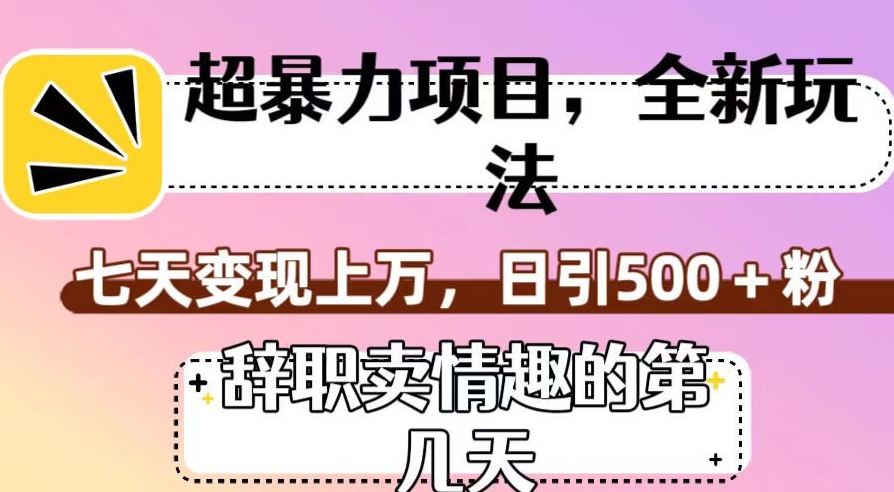 超暴利项目，全新玩法（辞职卖情趣的第几天），七天变现上万，日引500+粉【揭秘】_抖汇吧