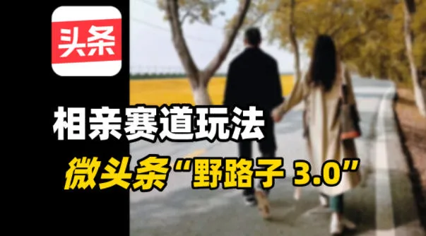 微头条“野路子3.0”相亲赛道玩法,搬砖式操作单号稳定3张_抖汇吧