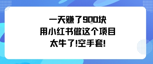 一天挣了9张用小红书做这个项目太牛了，空手套_抖汇吧