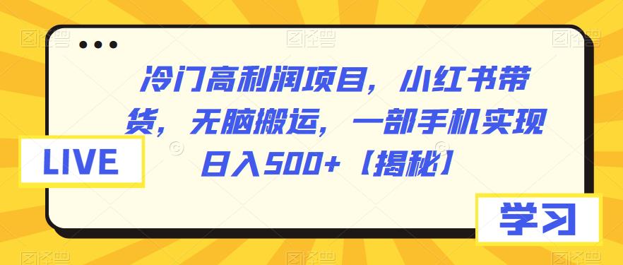 冷门高利润项目，小红书带货，无脑搬运，一部手机实现日入500+【揭秘】_抖汇吧