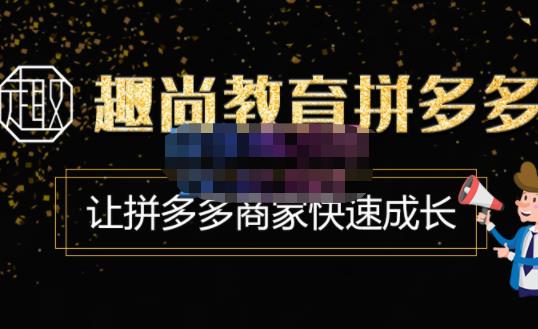 拼多多运营实操VIP特训营，让拼多多商家快速成长-价值3180元_抖汇吧