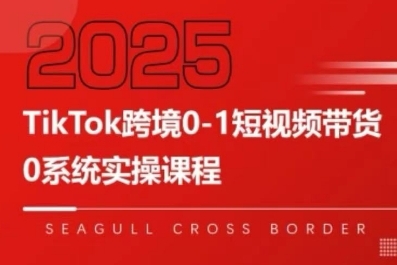 TikTok跨境0-1短视频带货，系统拆解TikTok跨境带货全链路，实现跨境可持续盈利_抖汇吧