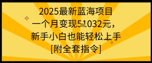 2025最新蓝海项目一个月变现1w+新手小白也能轻松上手【附全套指令】_抖汇吧