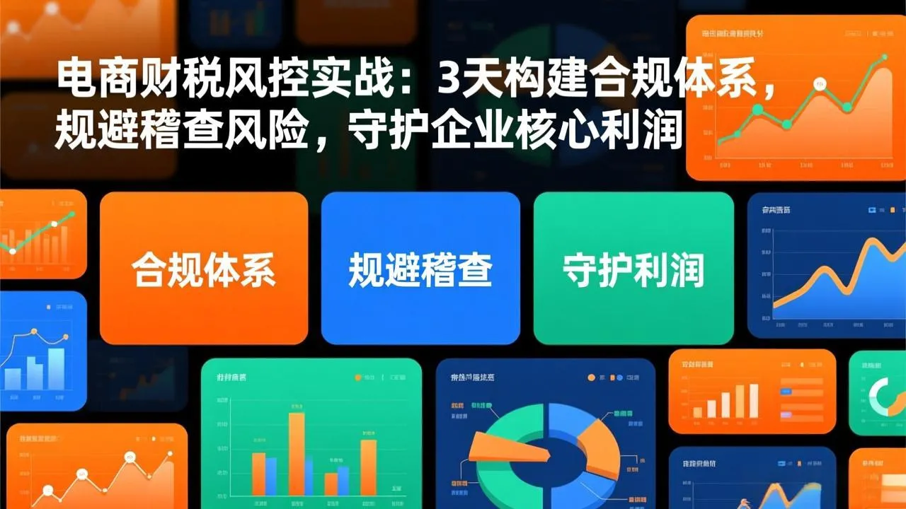 电商财税风控实战:3天构建合规体系,规避稽查风险,守护企业核心利润_抖汇吧