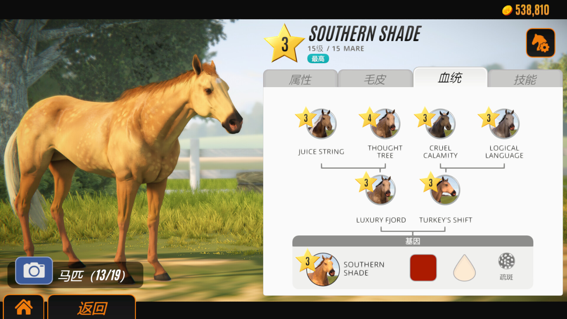 家族传奇:马匹养成竞技/Rival Stars Horse Racing: Desktop Edition_抖汇吧