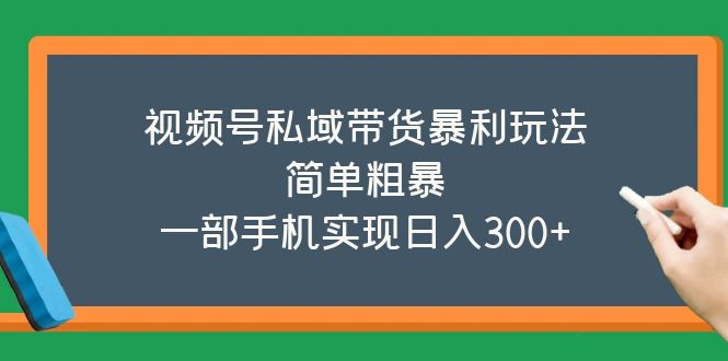 视频号私域带货暴利玩法，简单粗暴，一部手机实现日入300+_抖汇吧