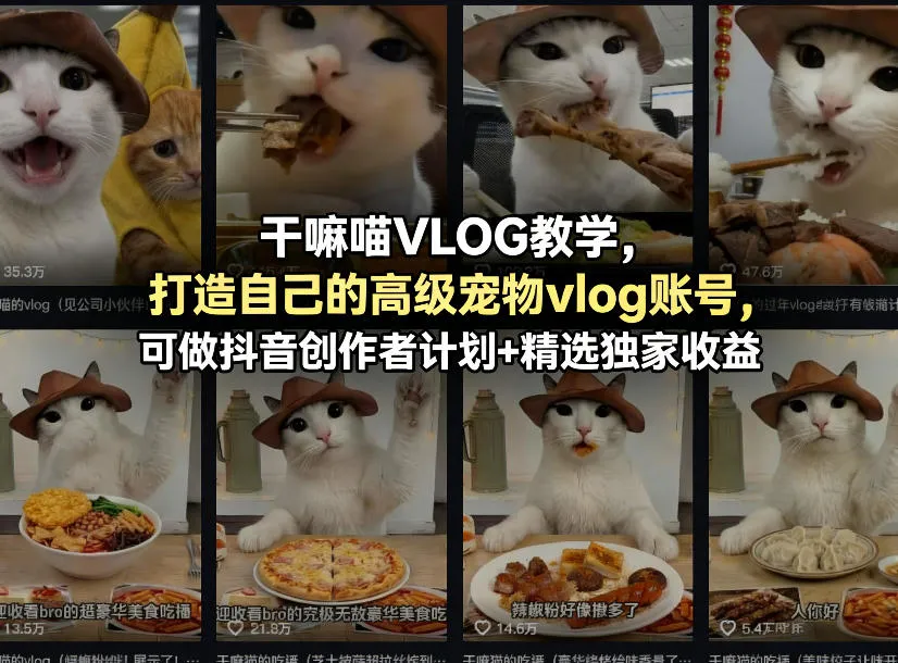 干嘛喵VLOG教学，打造自己的高级宠物vlog账号，可做抖音创作者计划+精选独家收益_抖汇吧