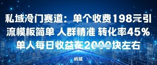 私域冷门赛道：单个收费198米引流模板简单人群精准转化率45%单人每日收益在1k+_抖汇吧