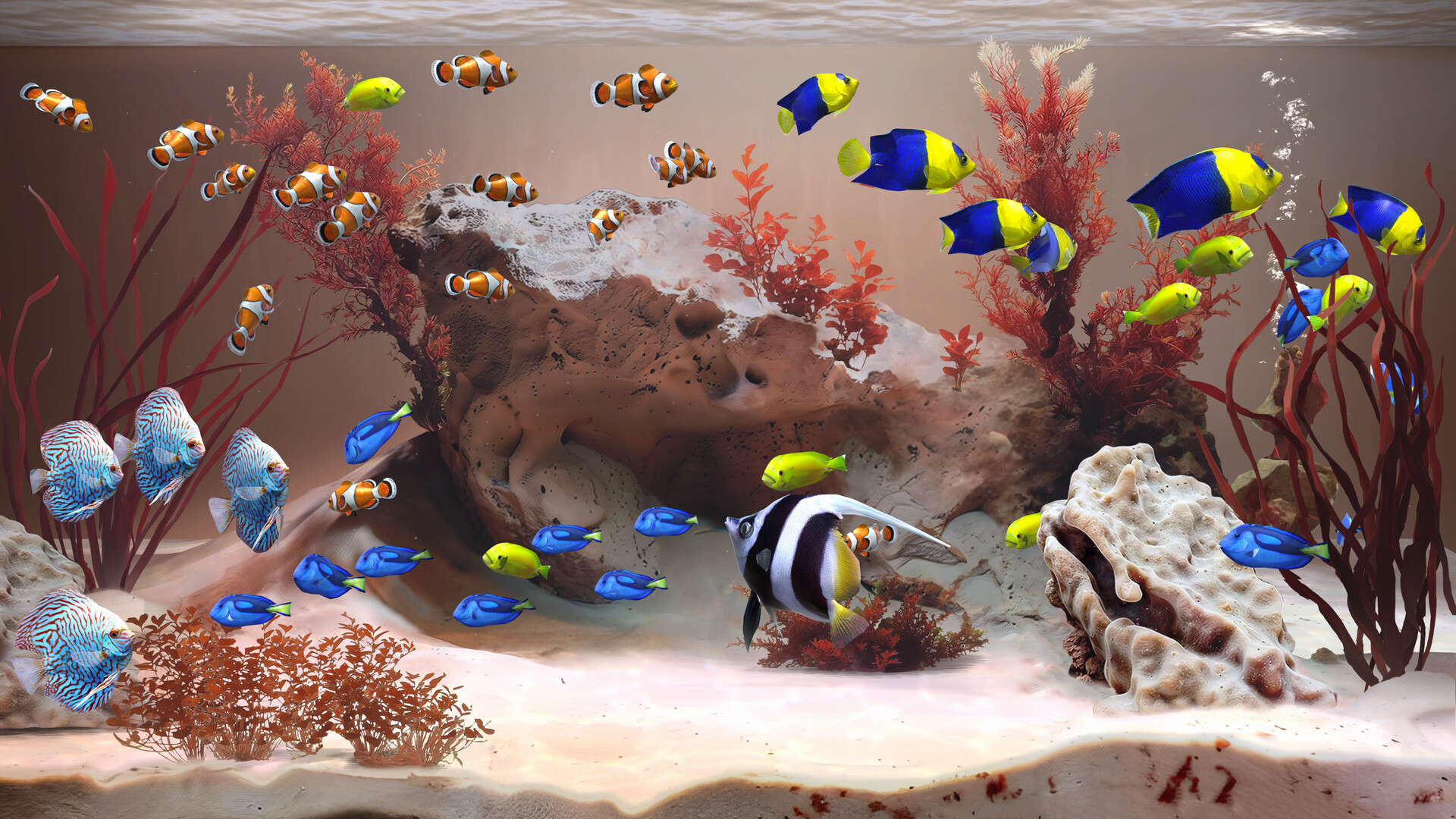 禅意水族馆/Zen Aquarium_抖汇吧