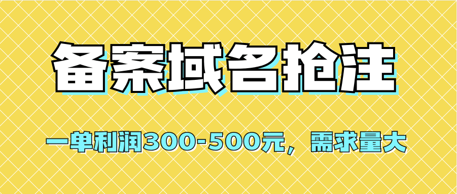 【全网首发】备案域名抢注，一单利润300-500元，需求量大_抖汇吧