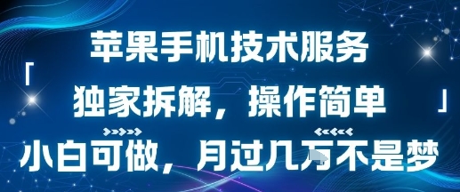 苹果手机技术服务，独家拆解，操作简单，小白可做，月过1W不是梦_抖汇吧