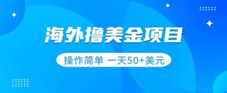 撸美金项目无门槛操作简单小白一天50+美刀_抖汇吧