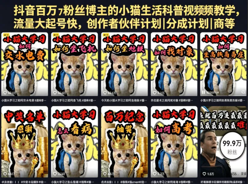 抖音百万粉丝博主的小猫生活科普视频教学，流量大起号快，创作者伙伴计划|分成计划|商单|收徒等_抖汇吧