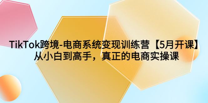 TikTok电商跨境变现实操课程，从小白到高手一步搭建自己的电商帝国_抖汇吧