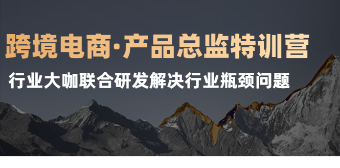 跨境电商·产品总监特训营，行业大咖联合研发解决行业瓶颈问题_抖汇吧