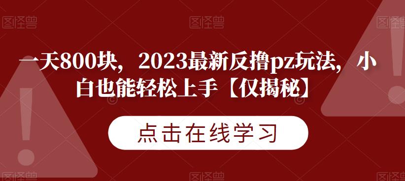 2023最新反撸PZ玩法揭秘，一天轻松赚800块！【仅揭秘】_抖汇吧