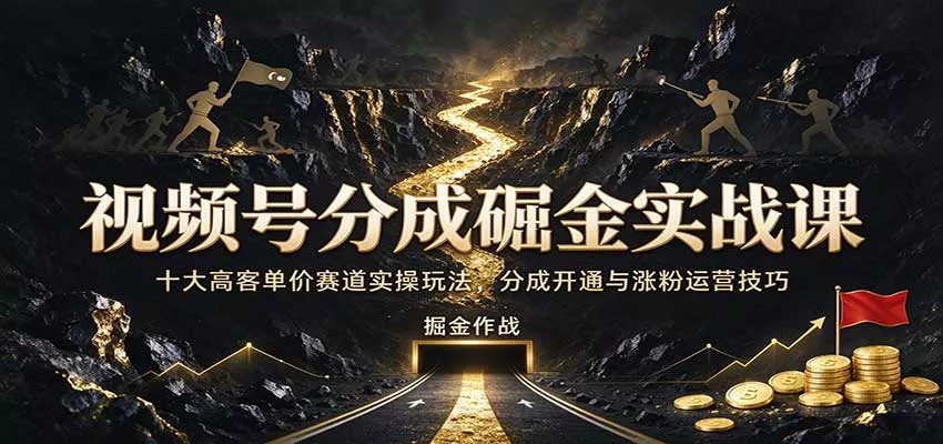 视频号分成掘金实战课：十大高客单价赛道实操玩法，分成开通与涨粉运营技巧_抖汇吧