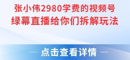 张小伟2980付费额视频号绿幕直播给你们拆解玩法_抖汇吧