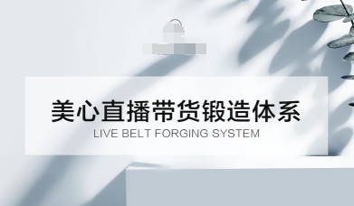 直播带货锻造体系课，5G时代美心一站式帮你开启直播带货之路【音频】_抖汇吧