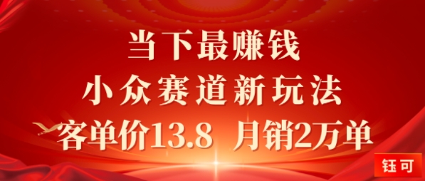 当下最挣钱的小众赛道 小红书新玩法10个作品涨粉3W，客单价13.8 月销2W单_抖汇吧